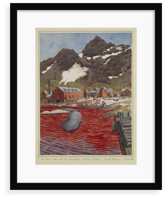 A busy day at Grytviken whaling station, South Georgia, March 1926 by Sir Alister Hardy