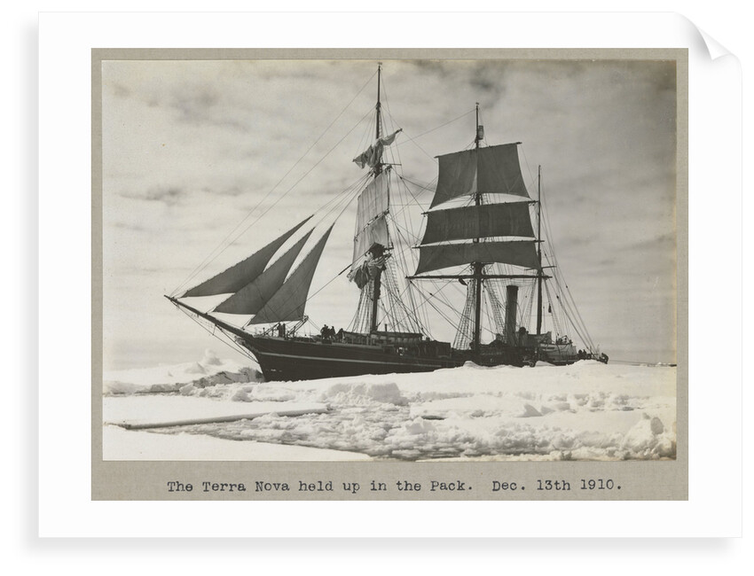 The 'Terra Nova' (1884) held up in the pack by Herbert George Ponting