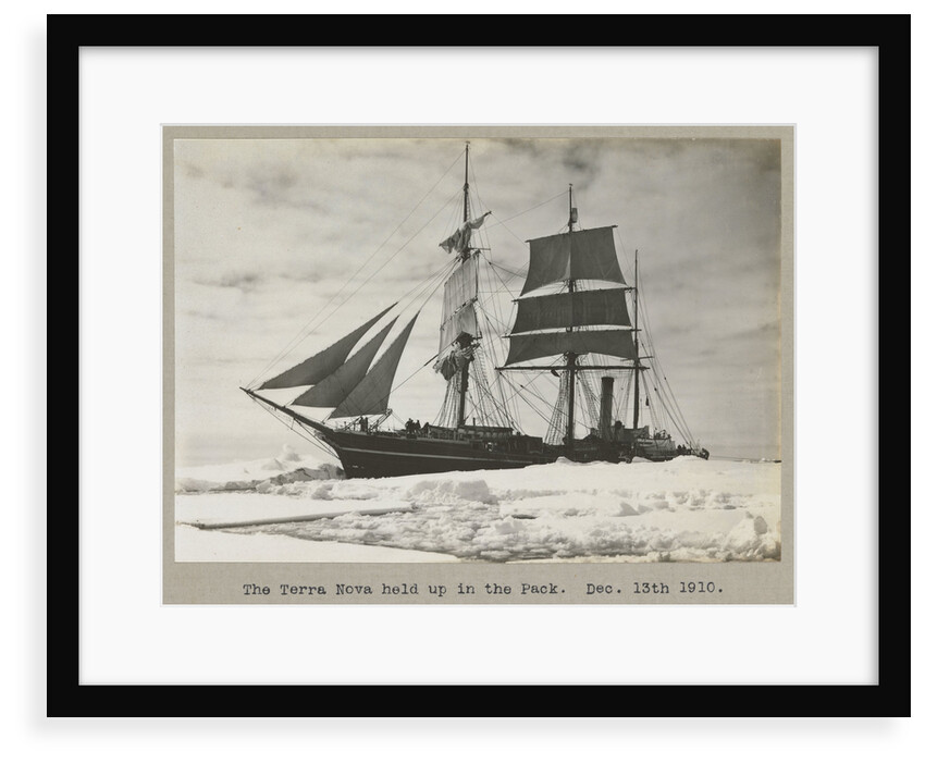 The 'Terra Nova' (1884) held up in the pack by Herbert George Ponting