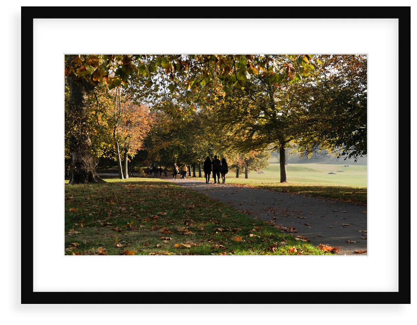 Autumnal image of the Royal Greenwich Park. by National Maritime Museum