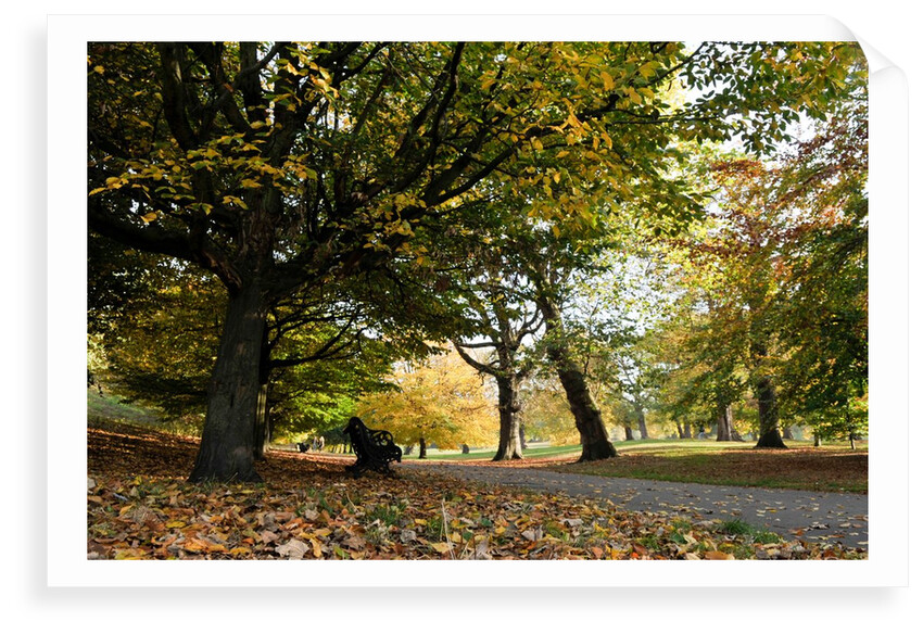 Autumnal image of the Royal Greenwich Park by National Maritime Museum