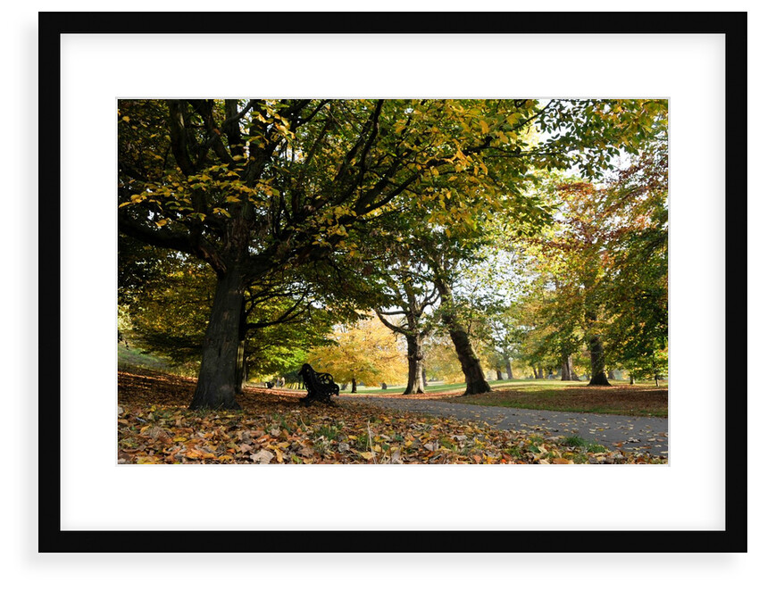 Autumnal image of the Royal Greenwich Park by National Maritime Museum