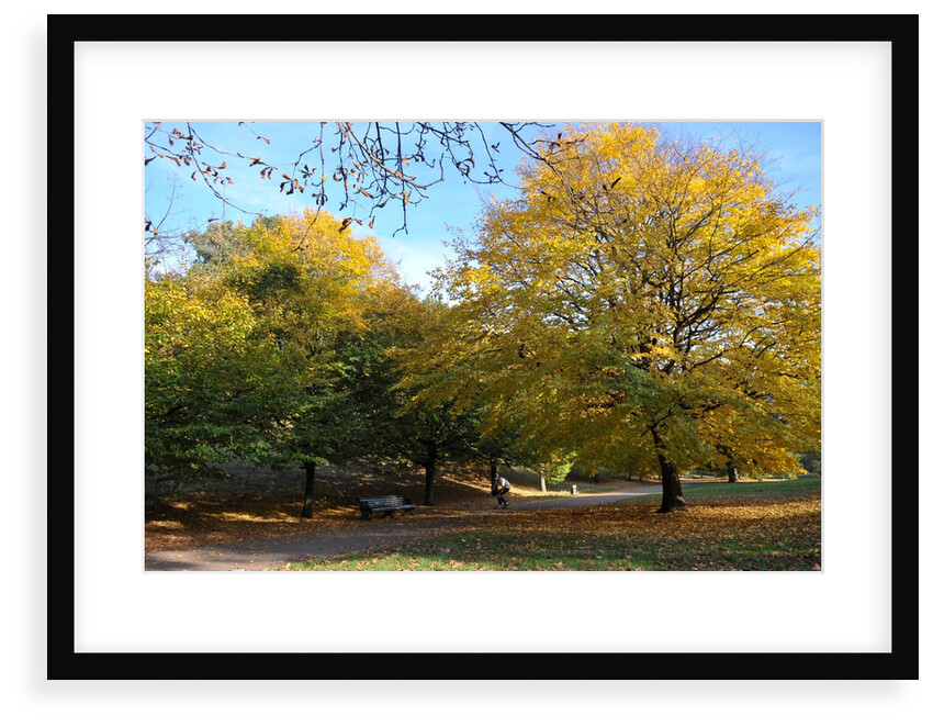 Autumnal image of the Royal Greenwich Park by National Maritime Museum