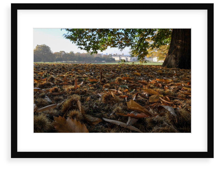 Autumnal image of the Royal Greenwich Park with the Queens House in the distance. by National Maritime Museum