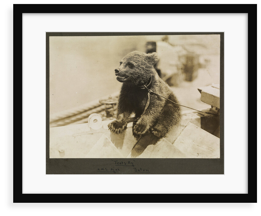 Photograph of the mascot bear cub 'Trotsky', on HMS 'Ajax' 1921. From an album relating to the naval career of Philip F. P. Blackwell, 1920-1922 by Philip F. P. Blackwell