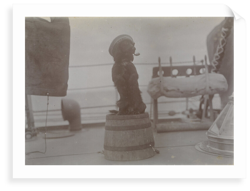 Phyllis 1st Lieutenant spaniel dog on top of barrel with hat and pipe. From an album relating to the Royal Naval Service of Cdr John Rodolph Peronet Thompson RN. by John Rodolph Peronet Thompson