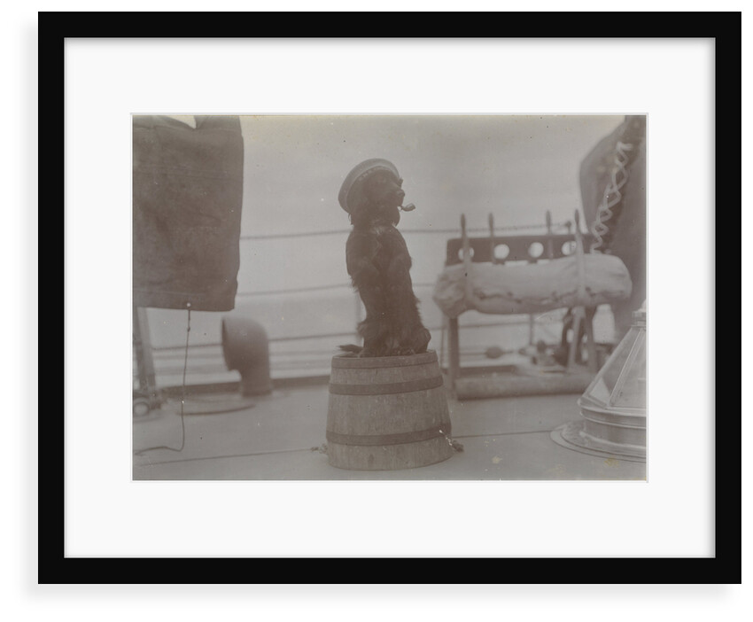 Phyllis 1st Lieutenant spaniel dog on top of barrel with hat and pipe. From an album relating to the Royal Naval Service of Cdr John Rodolph Peronet Thompson RN. by John Rodolph Peronet Thompson