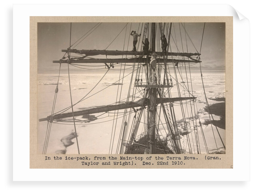 In the pack. Sky reflection. by Herbert George Ponting