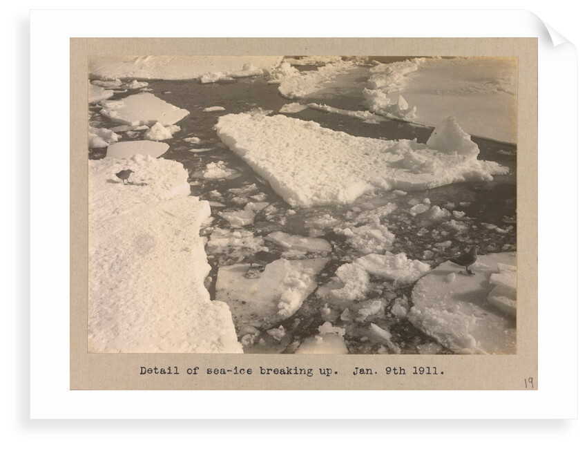 Detail of the sea-ice breaking up by Herbert George Ponting