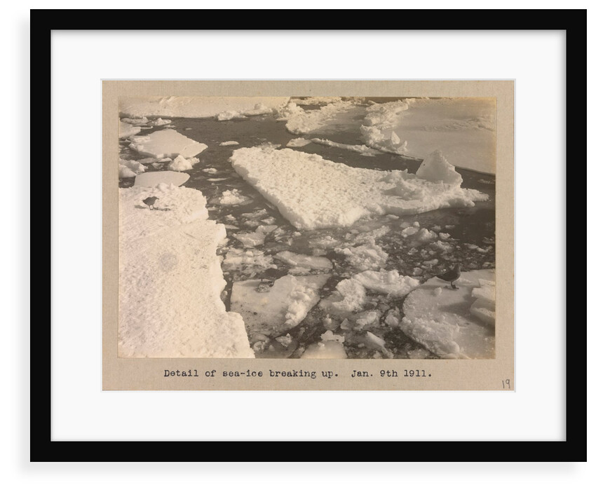 Detail of the sea-ice breaking up by Herbert George Ponting