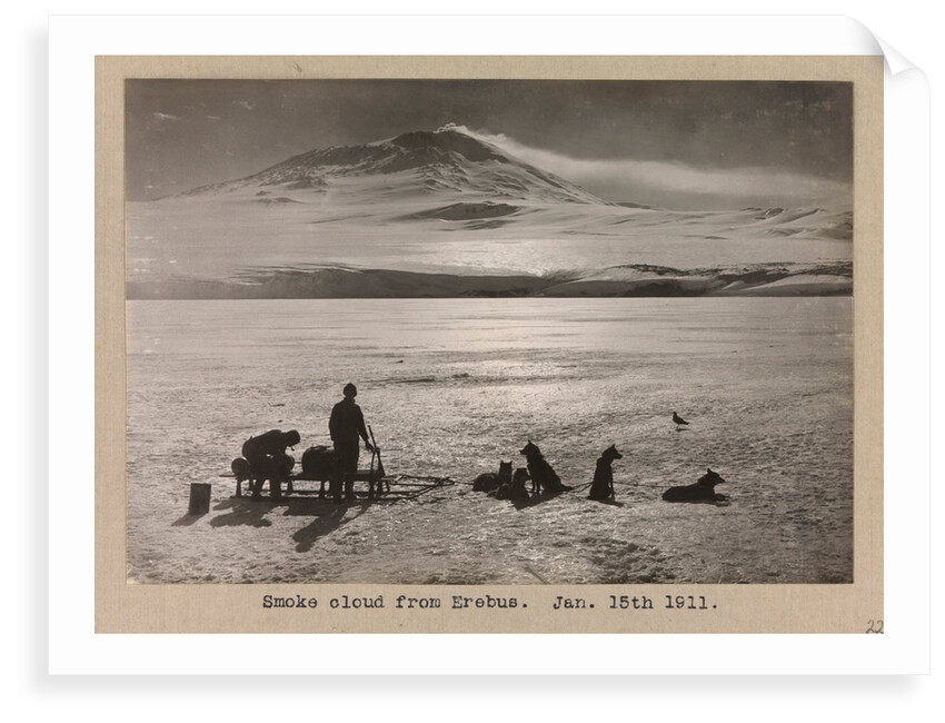 A dog-sledge team with Erebus in the background by Herbert George Ponting