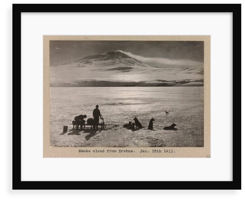 A dog-sledge team with Erebus in the background by Herbert George Ponting