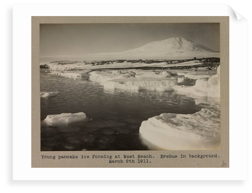 Young pancake ice forming at West Beach. Erebus in background. by Herbert George Ponting