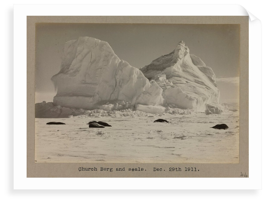 Church Berg and seals by Herbert George Ponting