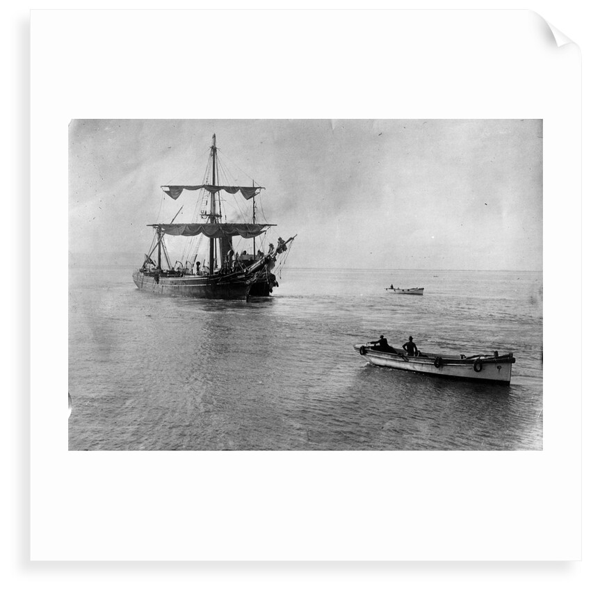 Ferreira (1869) by Unknown