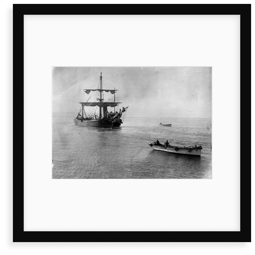 Ferreira (1869) by Unknown