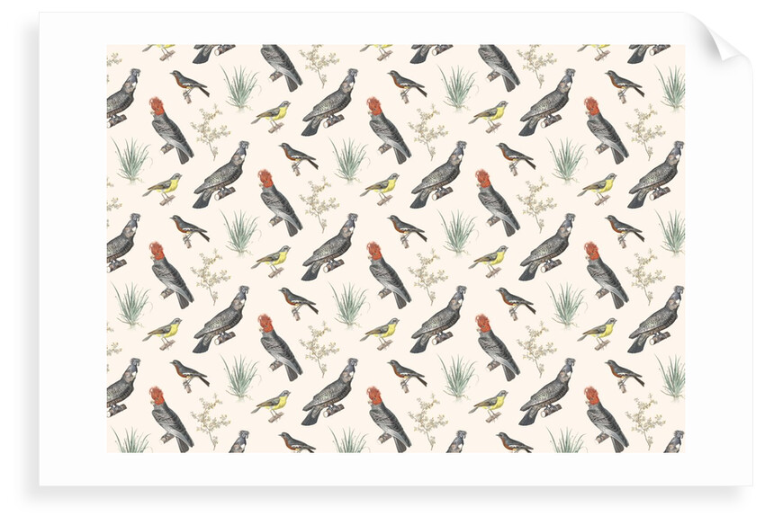 Natural history repeat pattern by Anonymous