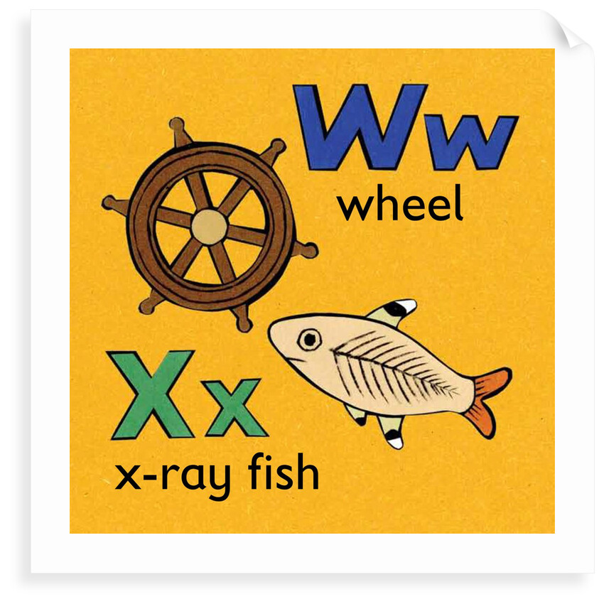 Wheel and x-ray fish children graphic by Anonymous