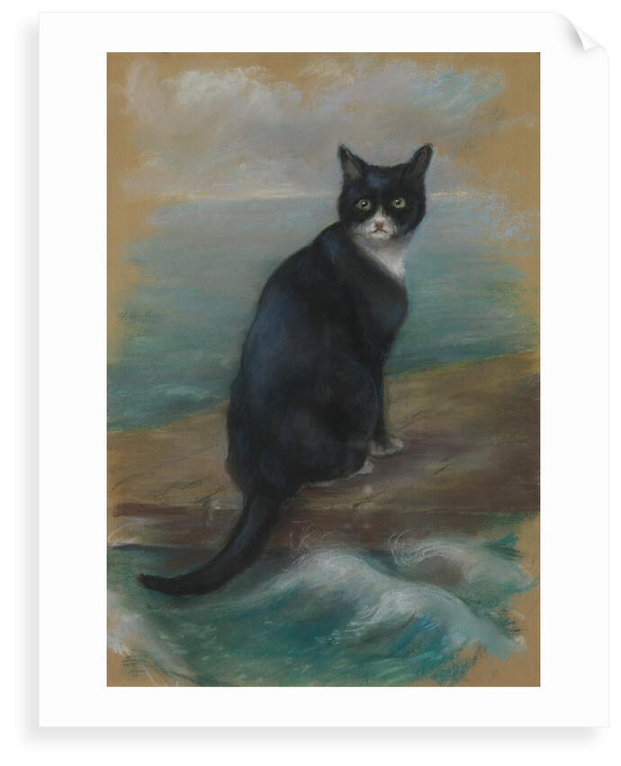 Oscar, cat from the German ship 'Bismarck' by Georgina Shaw Baker