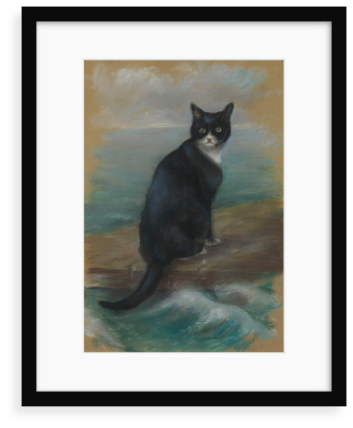 Oscar, cat from the German ship 'Bismarck' by Georgina Shaw Baker