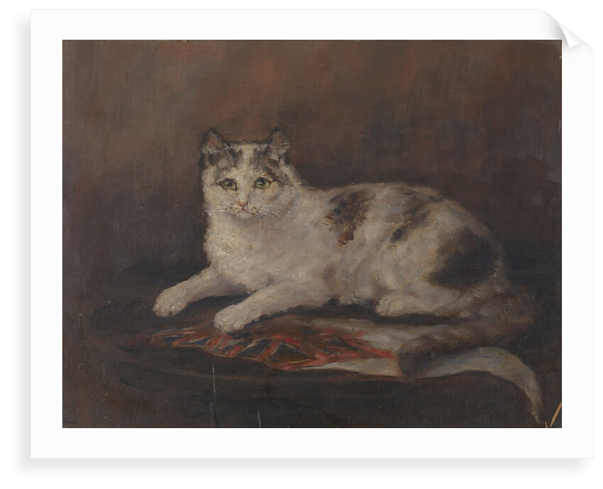 The cat of HMS 'Exeter' by Georgina Shaw Baker