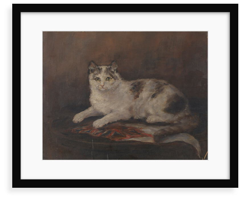 The cat of HMS 'Exeter' by Georgina Shaw Baker