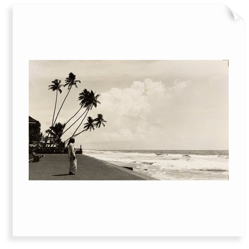 A landscape photograph of a Sri Lankan man looking out to sea. by Unknown
