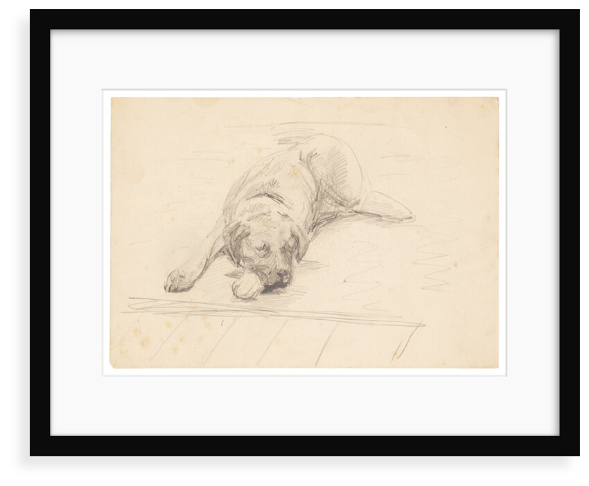 Dog lying with it's head on one side on a rug by Unknown