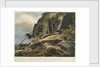 Picturesque views of the Diamond Rock: the passage upon the Rock, with the Mail-Coach by Joseph Constantine Stadler
