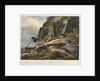 Picturesque views of the Diamond Rock: the passage upon the Rock, with the Mail-Coach by Joseph Constantine Stadler