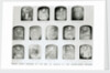 Officers who sailed in search of the North-West Passage with Sir John Franklin in 1845 by Baird