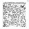 Pair of maps of the Northern and Southern Celestial Hemispheres by Albrecht Dürer