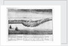 Battle between the English and Dutch fleets, 25 July 1666 by Wenceslaus Hollar