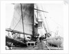 'Germanic deck' 1874 by Unknown