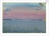 Seascape from the 'Birkdale' by John Everett