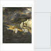 The fall of Lucifer by Herri met den Bles