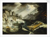 The wreck of the 'Amsterdam' by Cornelis Claesz van Wieringen