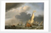 A states yacht in a fresh breeze running towards a group of Dutch ships by Willem Van de Velde the Younger