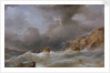 Wreck of a ship off a rocky coast by Samuel Walters