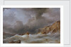 Wreck of a ship off a rocky coast by Samuel Walters