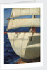 Mainmast sails by John Everett
