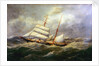 The brigantine 'L'Avennire' by Edmond Adam