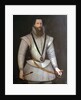Robert Devereux, 2nd Earl of Essex (1567-1601) by Marcus Gheeraerts the Younger