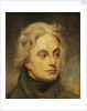 Vice-Admiral Horatio Nelson, 1st Viscount Nelson (1758-1805) by William Beechey