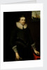 Portrait of a naval officer aged 24, 1619 by British School
