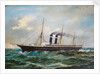 The steamship 'City of New York' (1888) by H. McKlown