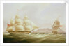 The ships 'Vigilant' and 'Harpooner' offshore by William John Huggins