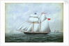 The schooner 'Little Beauty' by W. Pearn