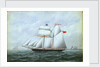 The schooner 'Little Beauty' by W. Pearn