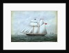 The schooner 'Little Beauty' by W. Pearn